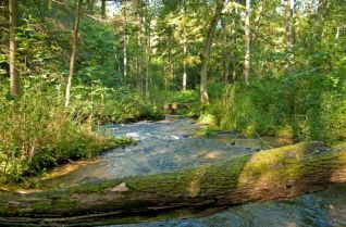 Roztoczański Park Narodowy