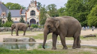 Zoo Wrocław