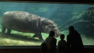 Zoo Wrocław