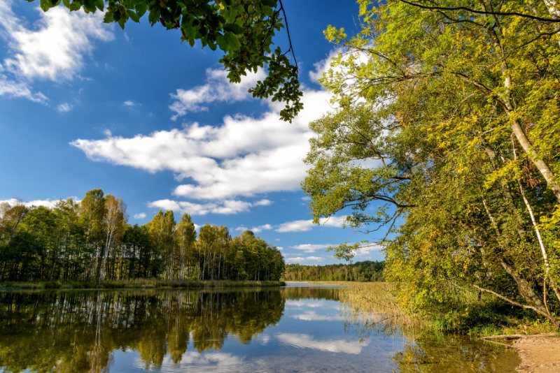 Mazury